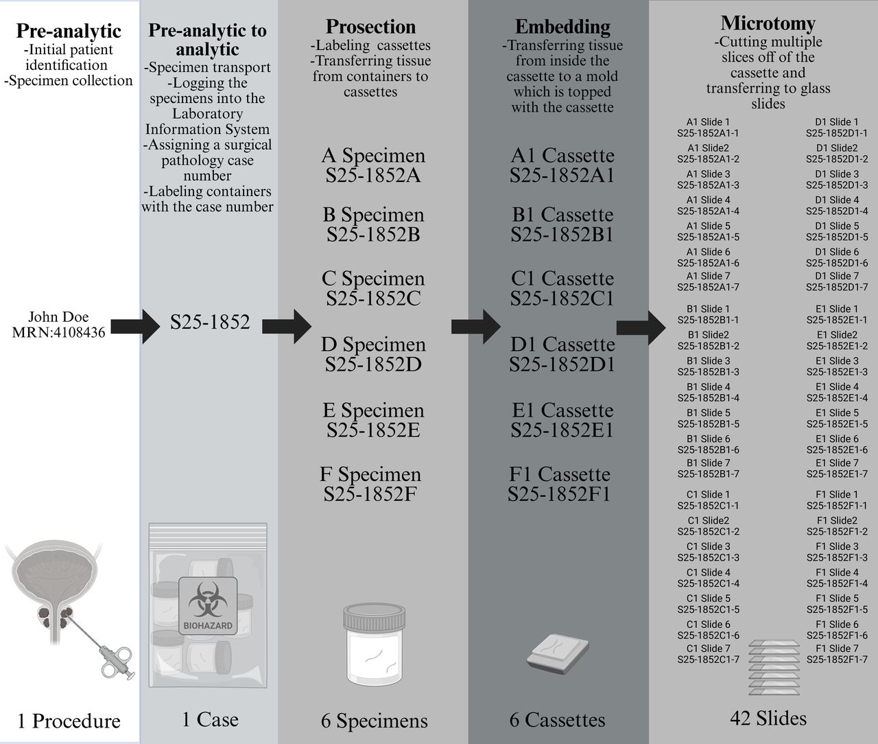 Technical error prevalence in the complete pathology tissue